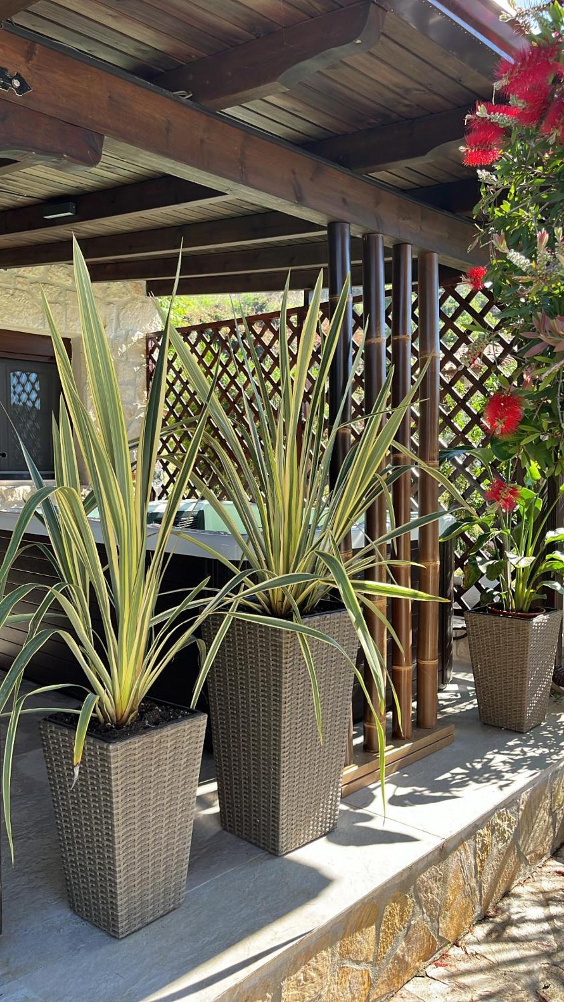 Palma Beach House 사르티 외부 사진